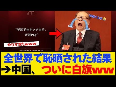 【勝利】日本のネット民が強すぎてついに中国が撤退してしまうww