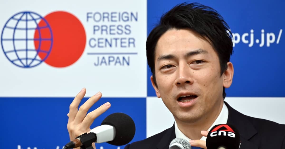 「売ってしまえば責任なし」メガソーラー“転売ビジネス”横行の闇…小泉氏の規制緩和も背景に | FRIDAYデジタル
