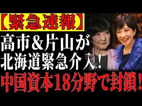 【経済主権防衛】高市首相と片山財務相が緊急決断！北海道の太陽光利権を徹底調査、中国資本を主要分野から排除！ 【ゆっくり解説】
