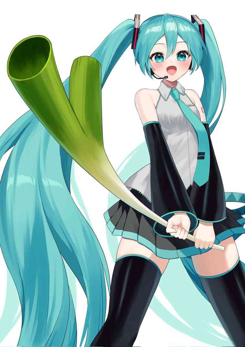 長ネギを大量に貰いました