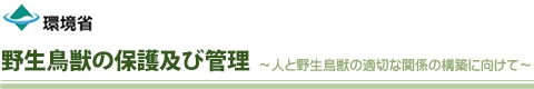 クマに関する各種情報・取組 || 野生鳥獣の保護及び管理[環境省]