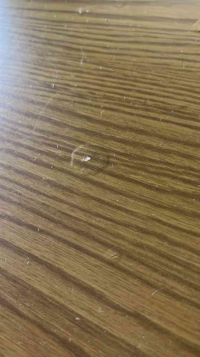 ニトリ家具を使用中に浮き出る〈謎のイボ〉は仕様？ それとも不具合？ 《ニトリあるある》に広報が答えたイボの原因と対策