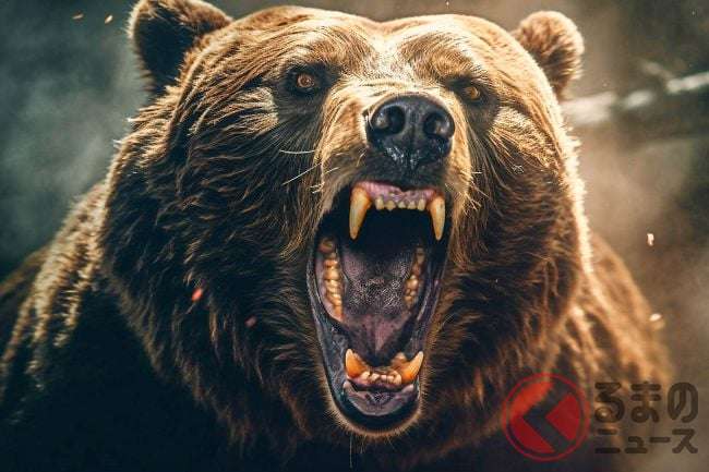 田んぼで倒れていた女性、クマ被害ではなかった　死因は低体温症、遺体を傷つけたのは小動物か　秋田・鹿角市