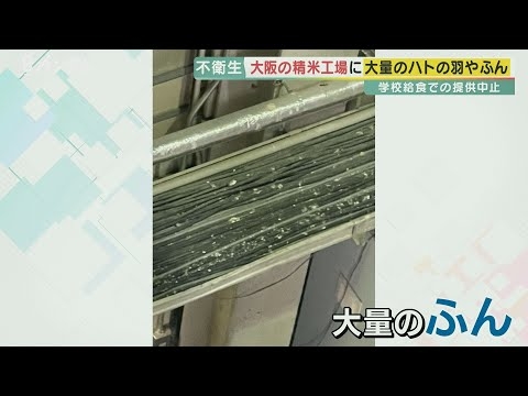 JAの精米工場がハトだらけ…至るところにフン　小学校給食にも出荷　保護者らが調査し発覚　大阪・枚方市【報道ランナー】