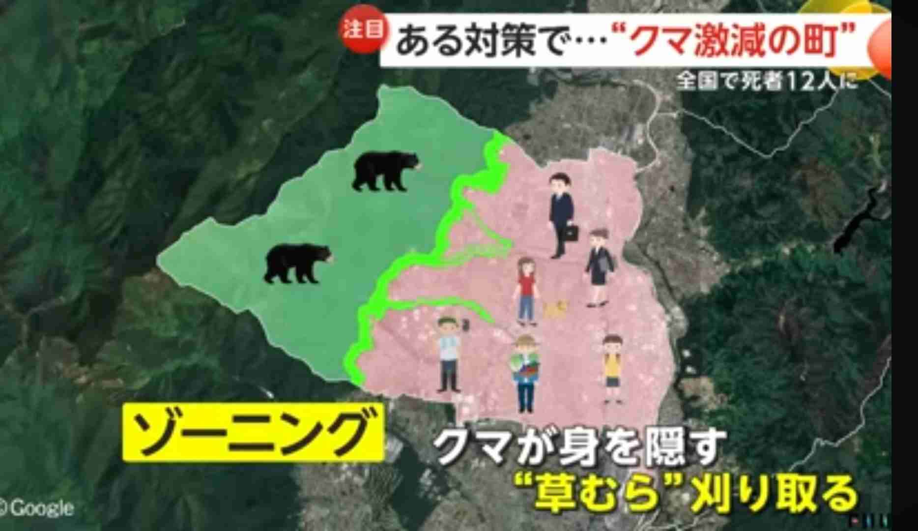 「クマが世田谷区に出没する可能性も」 すでに青梅や八王子で目撃情報が… 「移動距離は1日10キロ」