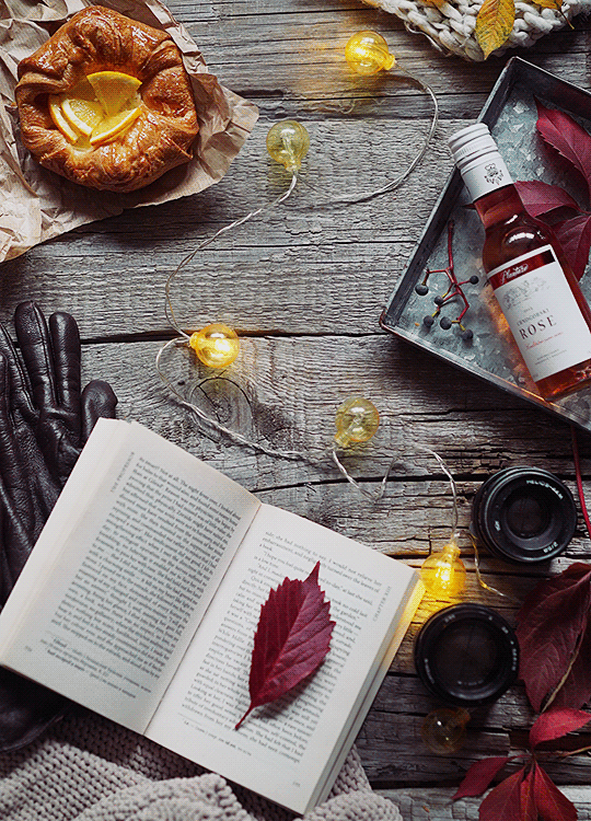 秋だから… シネマグラフをみんなで貼ろう