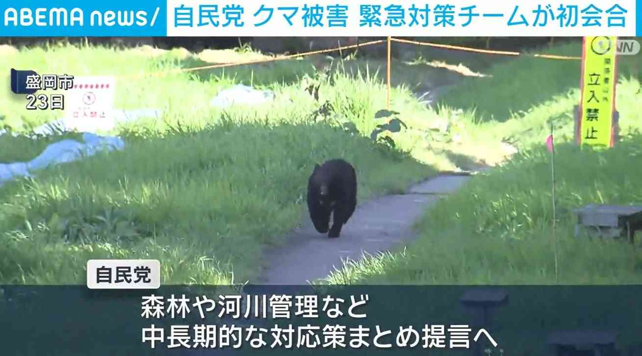 自民党 クマ被害 緊急対策チームが初会合（ABEMA TIMES） - Yahoo!ニュース