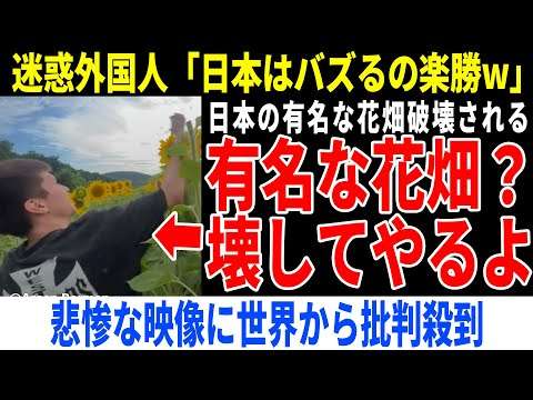 日本の有名な花畑が外国人に破壊され世界から批判殺到！花畑イベントは中止に【海外の反応】