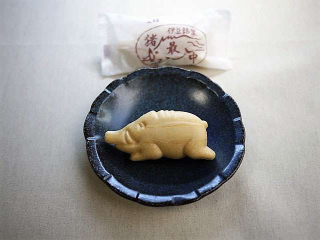 東京・江戸川区でイノシシの目撃相次ぐ　けさ東葛西などで通報9件ほど　現在は行方分からず区は注意呼びかけ