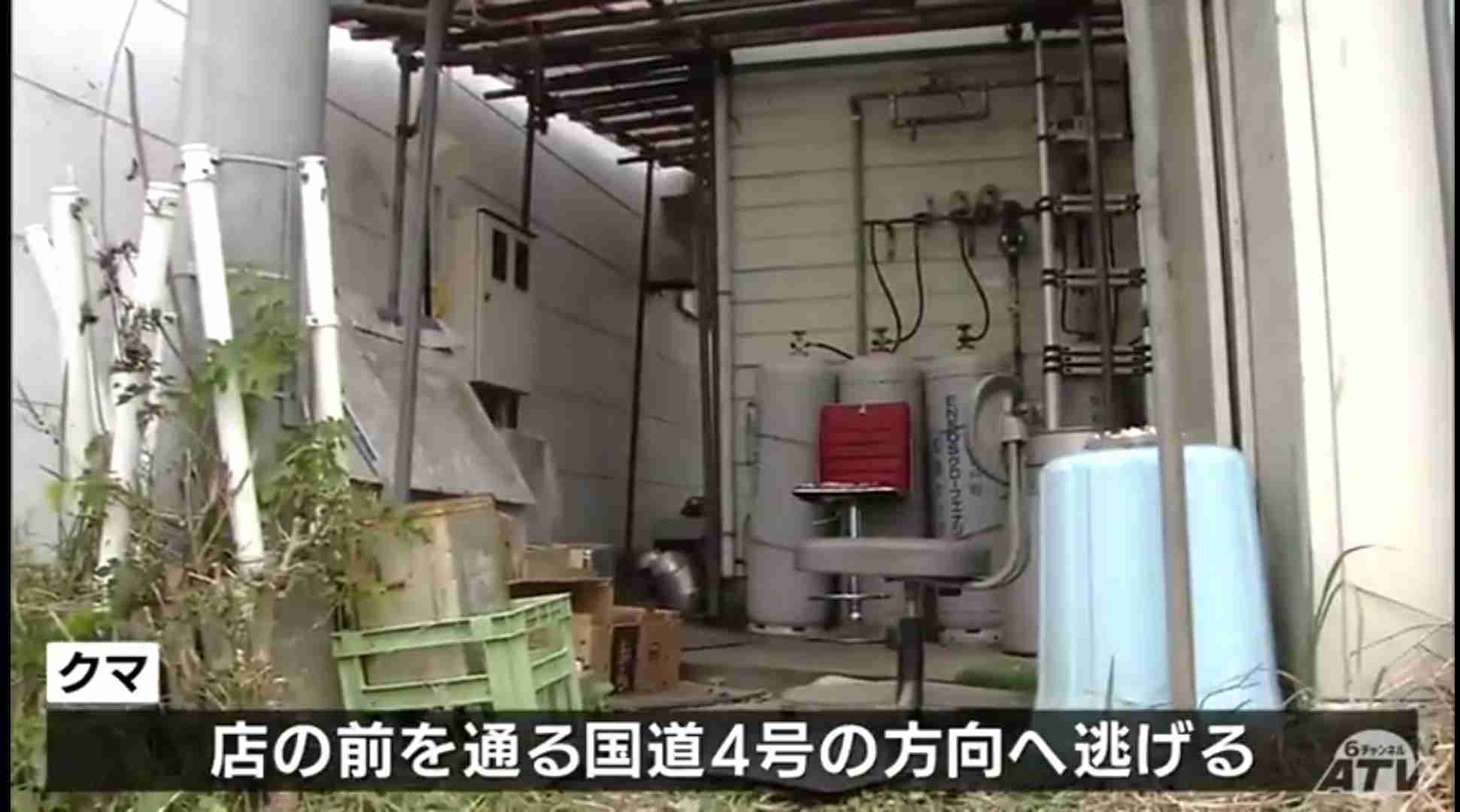 ラーメンの仕込み中にクマに襲われ男性けが 「やられて、投げ返した」 男性は反撃しクマ逃げる 国道沿いの店舗敷地内に出没 青森県三戸町