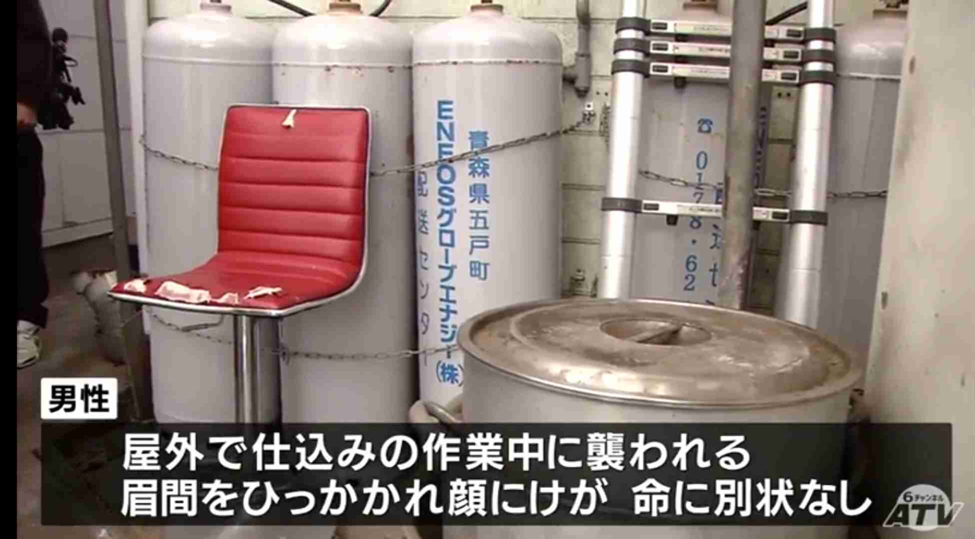 ラーメンの仕込み中にクマに襲われ男性けが 「やられて、投げ返した」 男性は反撃しクマ逃げる 国道沿いの店舗敷地内に出没 青森県三戸町