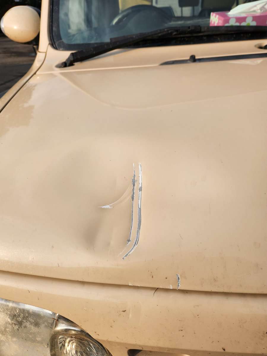 北海道で車を運転中、ヒグマに襲われる動画が想像以上に衝撃映像だった…真正面から突撃してくる迫力に「こんなにデカいのか」「死んだフリとか無理」