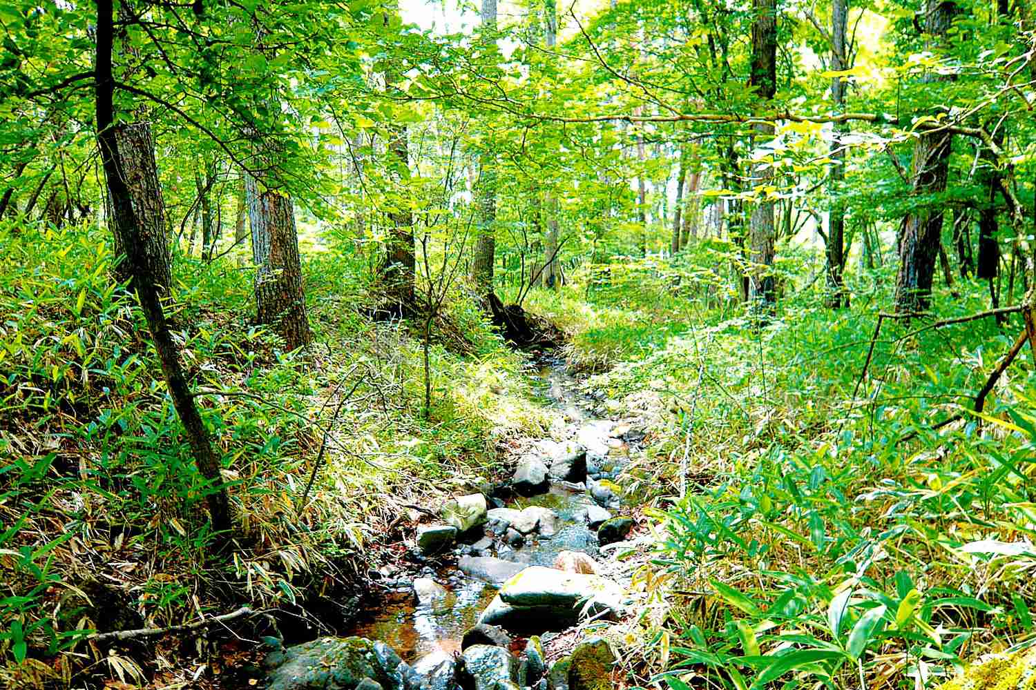 生長の家について - 宗教法人 生長の家　公式サイト