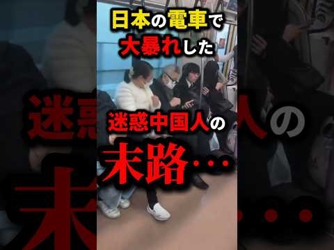 日本の電車で大暴れした迷惑中国人の末路… #shorts #トラブル　#喧嘩