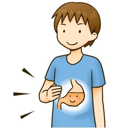 腹八分目ってどのくらいですか⁈