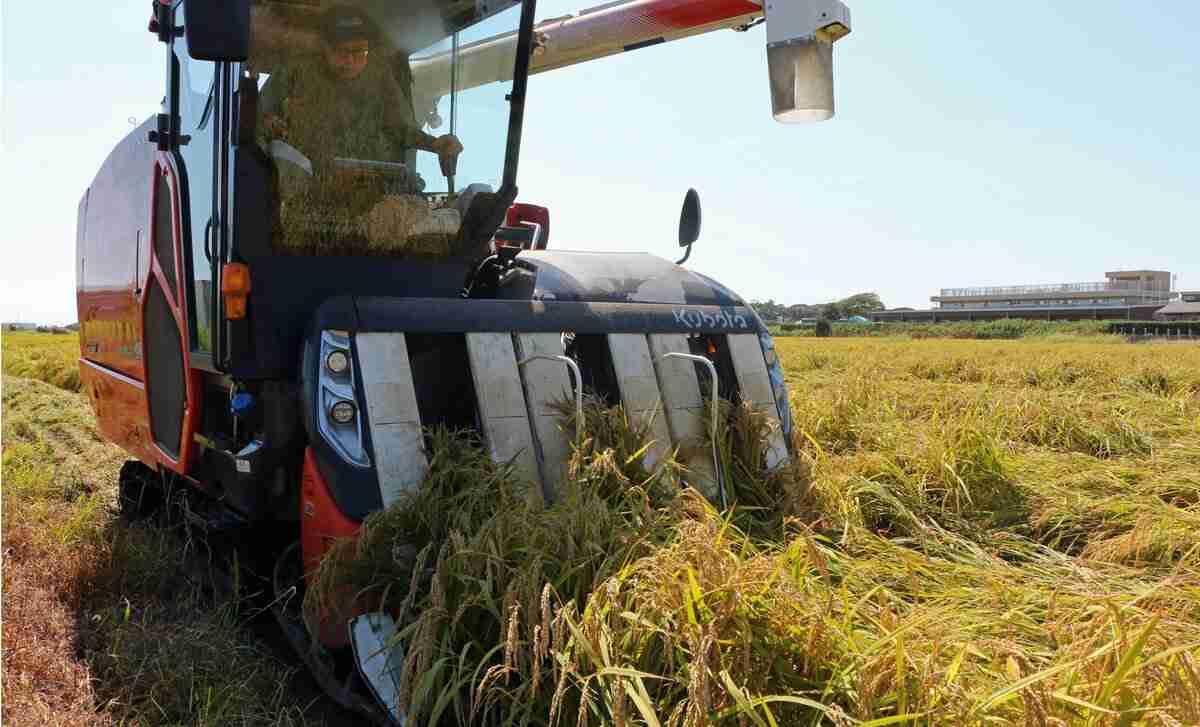 コメ農家「『ごめんなさい』と謝ってコメを売っている」　農機具で節税対策も2000万円コンバインは2年待ち | 概要 | AERA DIGITAL（アエラデジタル）