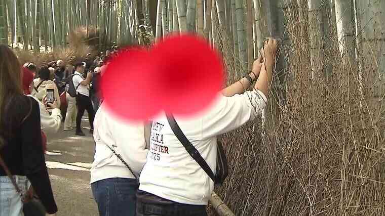 「拾った小石で竹に落書き」「立ち入り禁止エリアに侵入」京都の人気スポット・竹林の小径で迷惑行為が深刻化...記者の直撃にも悪びれないインバウンド客たち　地元商店街からも嘆き「本当にやめてもらいたい」 | 特集 | MBSニュース