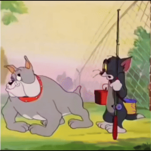 このGIFで笑ったことある人はプラス