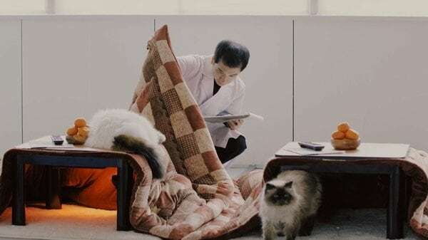 ネコが最も好むこたつの温度は何度か？ヤマト運輸の実験が話題に　5種類の温度で3回“真面目に”実験