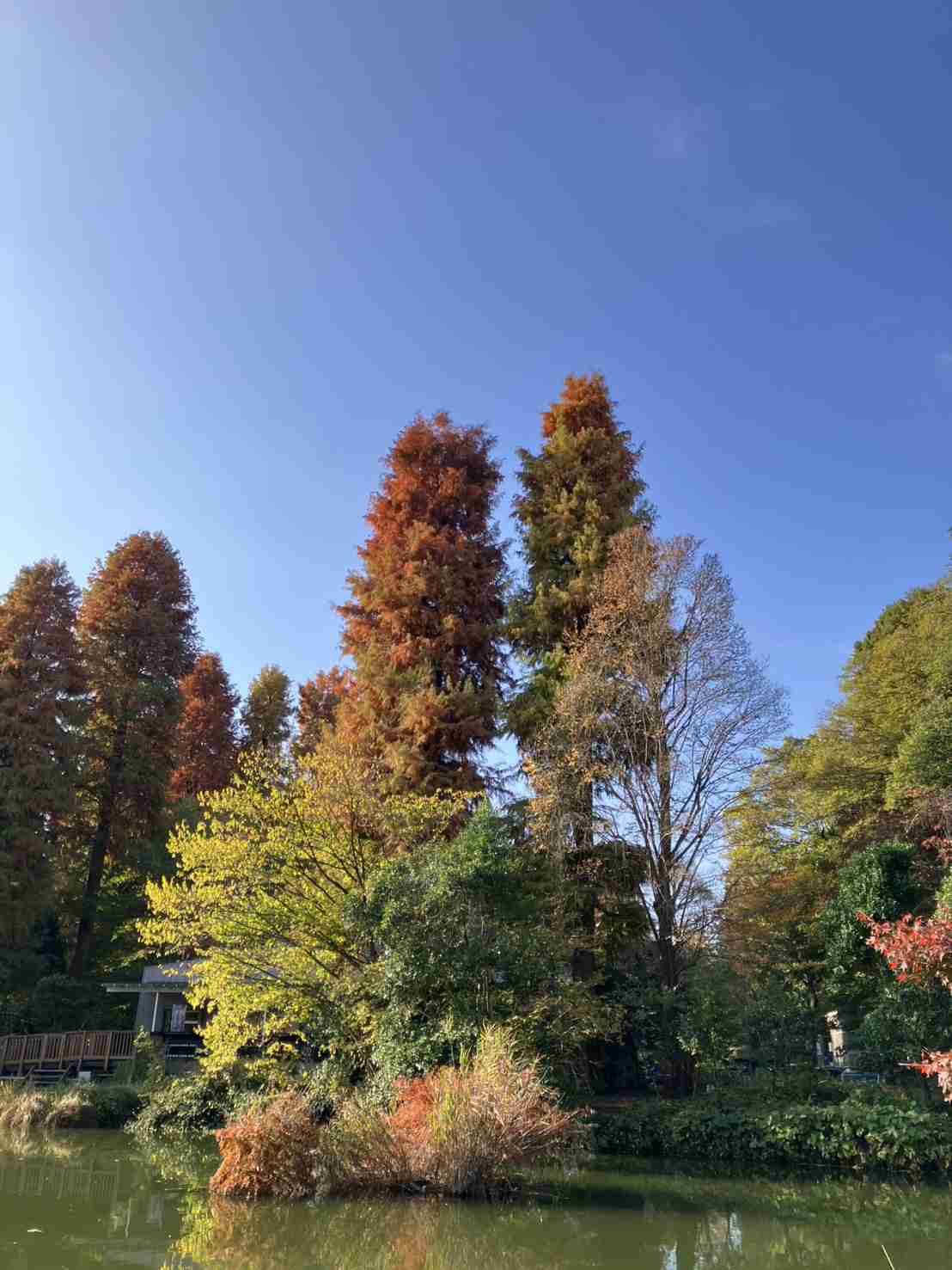 【家でも外でも】いま見える光景を貼るトピ