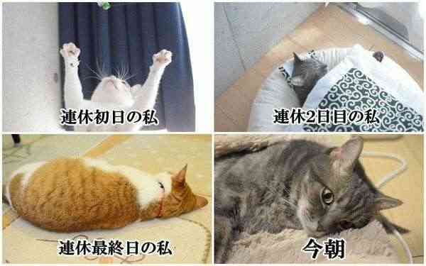 【連休終了】明日から仕事行きたくない民