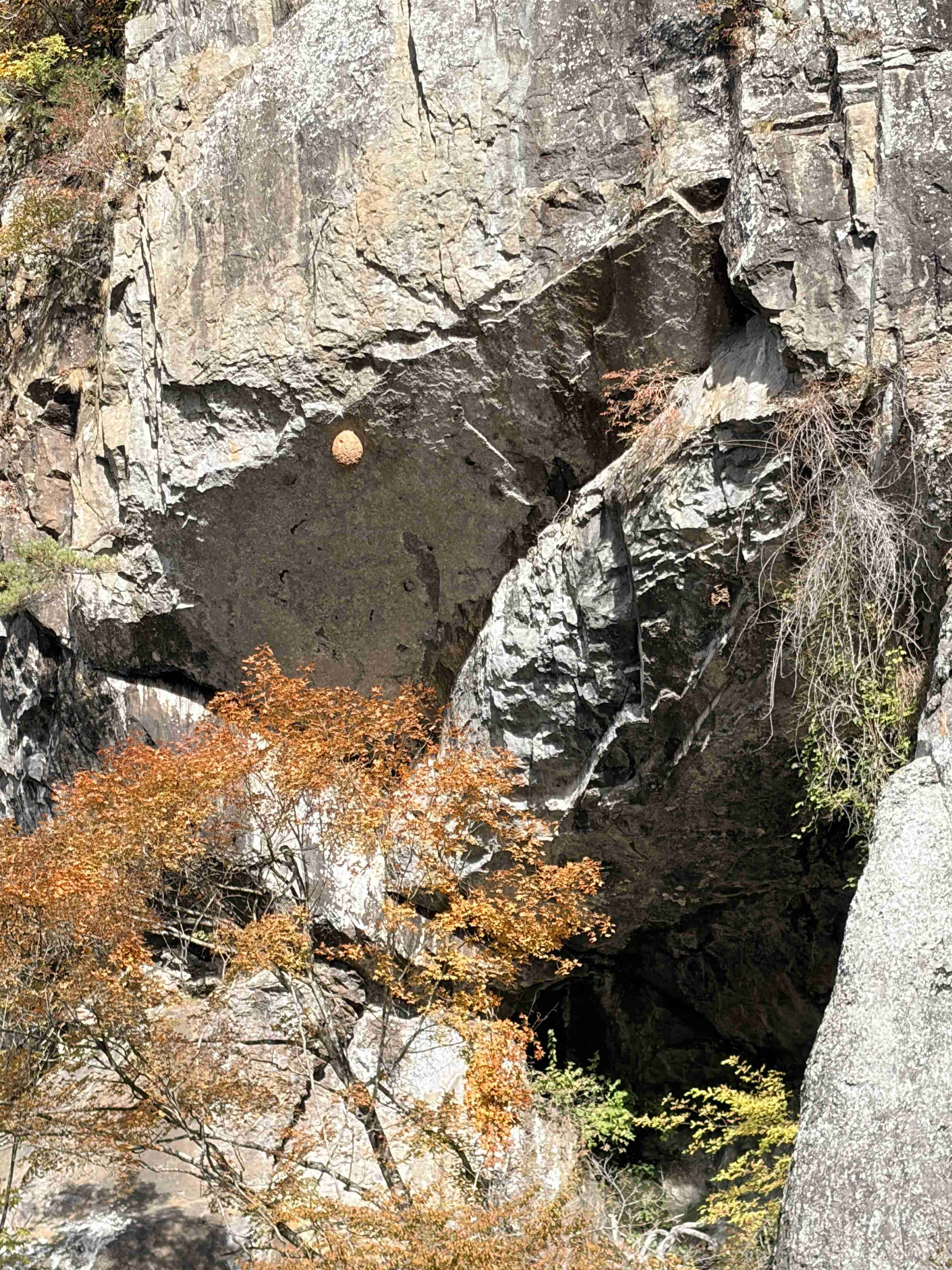 三連休どうでしたか?