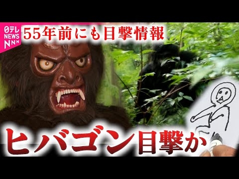 【謎の生物ヒバゴン】広島で相次ぐ目撃情報！55年を経て再熱 類人猿相談係も発足　NNNセレクション