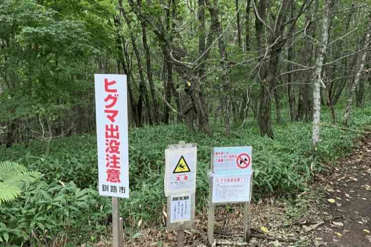 ますます凶暴化するクマ対策は待ったなし！人間が駆除、放置したシカを餌に“肉食化”するクマも出現 【JBpressセレクション】(5/5) | JBpress (ジェイビープレス)