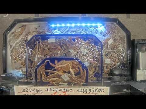 Kani Doraku Dotombori-honten water tank