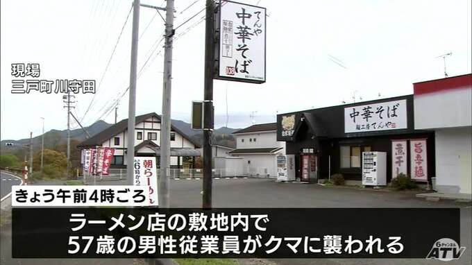 ラーメンの仕込み中にクマに襲われ男性けが 「やられて、投げ返した」 男性は反撃しクマ逃げる 国道沿いの店舗敷地内に出没 青森県三戸町