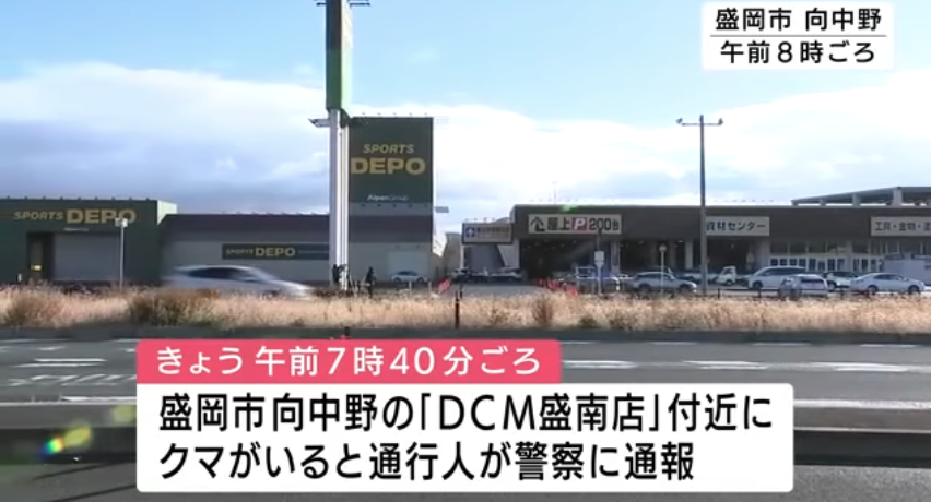 岩泉町でクマが前日と同じ柿の木に再び居座る、ライフル銃駆除プロジェクトチーム出動　盛岡市のホームセンター敷地内でクマ捕獲　岩手県