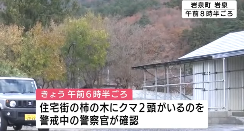 岩泉町でクマが前日と同じ柿の木に再び居座る、ライフル銃駆除プロジェクトチーム出動　盛岡市のホームセンター敷地内でクマ捕獲　岩手県