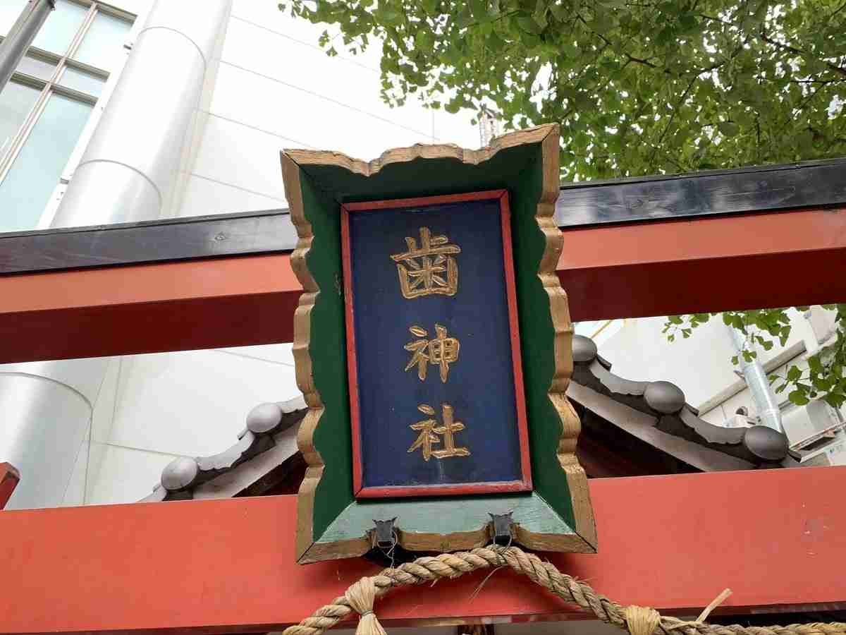 【歯槽骨再生】歯周病の治療についてお話したい