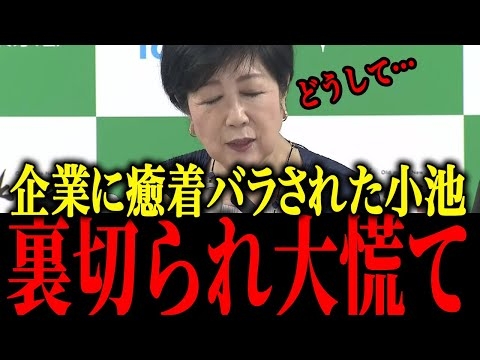 【さとうさおり】※小池、癒着企業に裏切られ都議会でバカにされる【佐藤沙織里 消費税 東京都議会本会議】