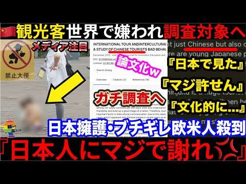 ??観光客、世界で嫌われすぎて論文化される→『何故すべての人から嫌われるのか』という動画も拡散され欧米で話題に