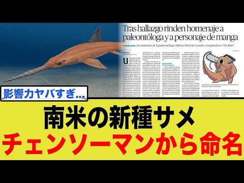 『チェンソーマン』ポチタ、南米で発見された新種のサメの化石の学名になってしまうw