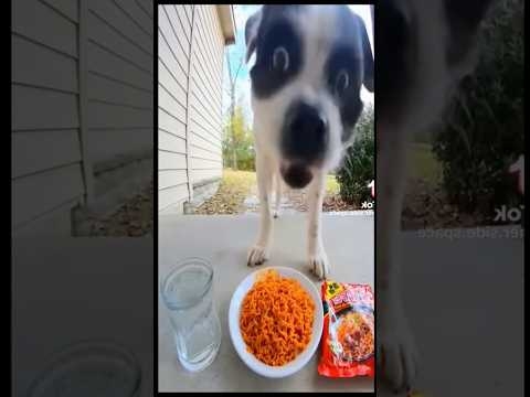 Can’t handle yung spicy foods.