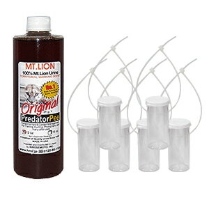 クマ問題 自衛隊が「銃でクマ駆除」は「非現実的」「たぶん当たらない」 ハンターが切実に願う「後方支援」とは