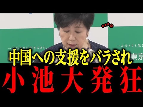 【小池百合子】※C国とのトンデモナイ関係が判明…【佐藤沙織里 消費税 東京都議会本会議】