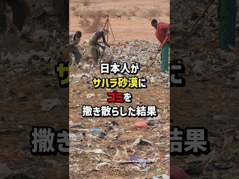 日本がサハラ砂漠にゴミを撒き散らかした結果　#海外の反応  #日本