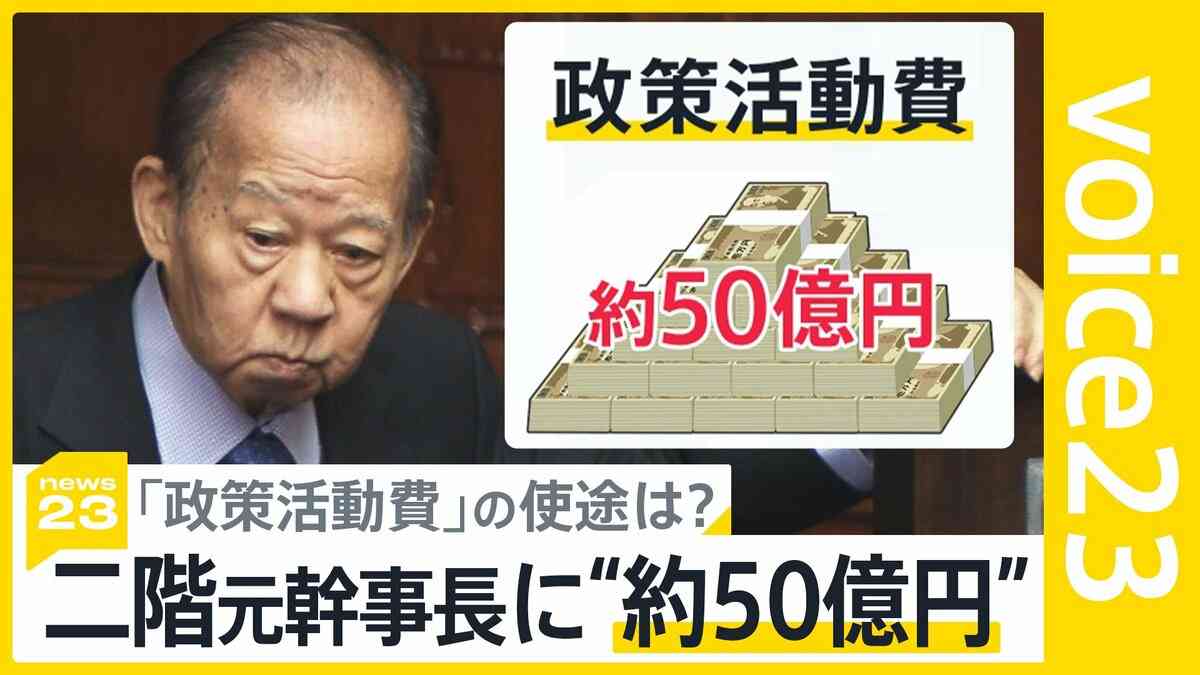 「政治とカネ」 二階元幹事長に“約50億円” 野党が追及する 巨額「政策活動費」の使途は？【news23】 | TBS NEWS DIG (1ページ)