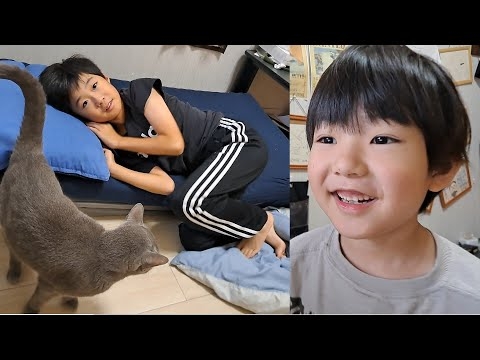 予測不能な動きの次男がいても長男のそばに居たい灰色猫