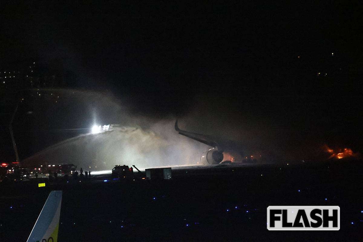 羽田事故でJAL機炎上 預けられていたペットは「救出ができませんでした」