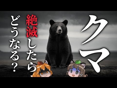 【疑問】クマが絶滅したらどうなるのか？