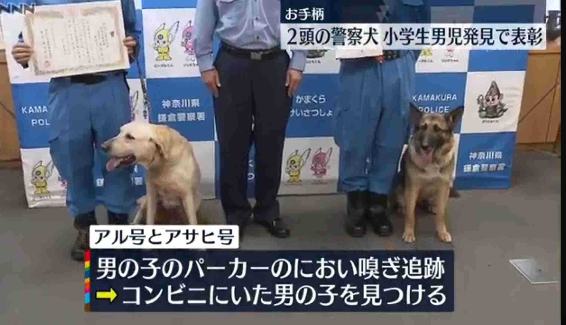 お手柄!警察犬を表彰 行方不明の11歳男児を発見 港南署