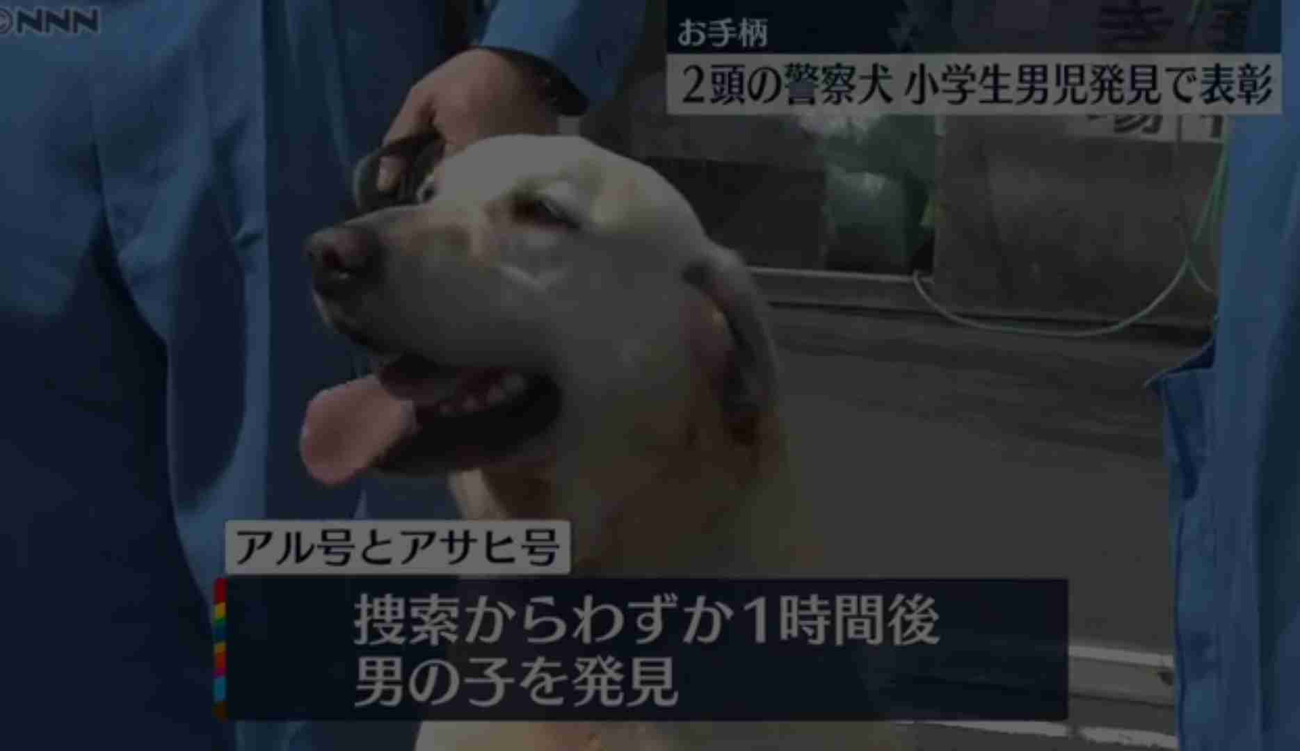 お手柄!警察犬を表彰 行方不明の11歳男児を発見 港南署