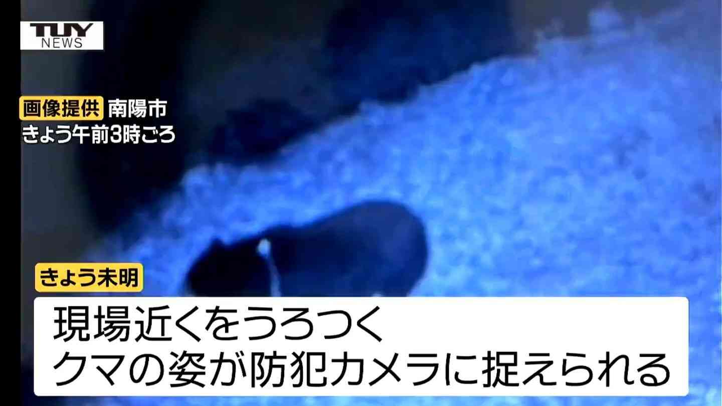 クマは箱ワナにかからず...しかし防犯カメラに現場近くをうろつくクマ　南陽市職員がクマに襲われ大ケガ　県内でクマ目撃相次ぐ（山形）（テレビユー山形） - Yahoo!ニュース
