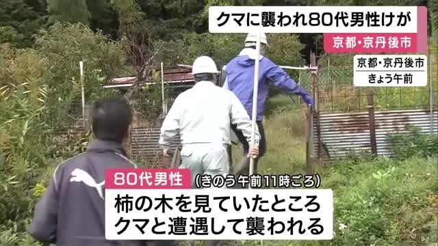 柿の木を見ていた80代男性がクマに襲われけが　捕獲用のおりを設置へ　京都・京丹後市（関西テレビ） - Yahoo!ニュース