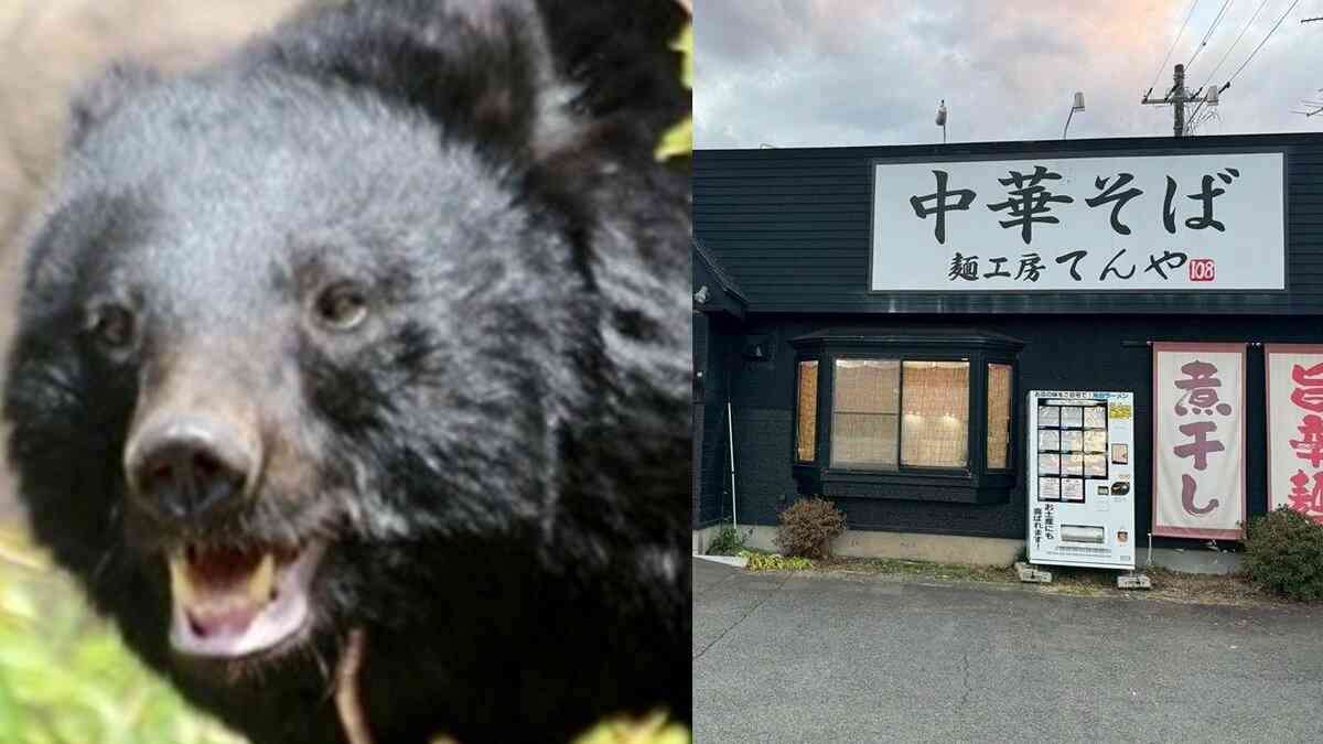 〈青森・クマがラーメン店襲撃〉「笑えないです」ボコボコにしてクマを返り討ち“レジェンド”と賞賛された男性はまぶたが腫れあがり骨折「補助金なし」で休業せざるえないオーナーの慟哭