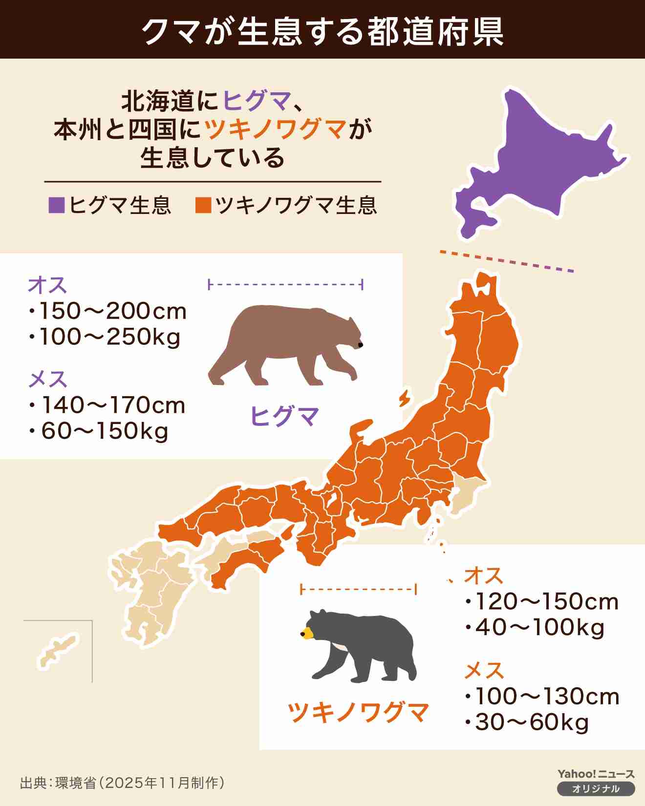 露天風呂に柵、半額補助へ クマ被害多発受け―観光庁